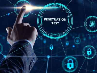 A professional penetration testing followed output OWASP report.