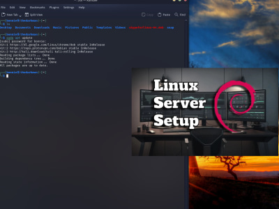 Expert Debian & Ubuntu Linux Support for Desktops and Servers