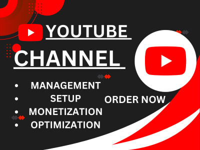 Your youtube channel manage with the touch of a professional