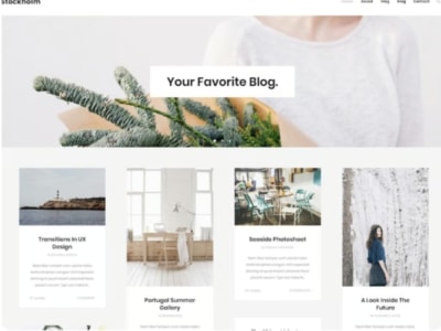 WordPress Theme and Plugin Customization | WordPress Developer Theme ...