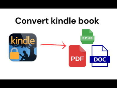 Professional Kindle Book Conversion to Word and PDF Formats