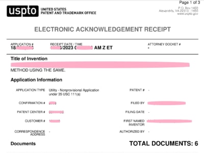 Your application filed as a registered eFiler.