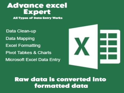 Data entering, cleaning, and formatting Excel data | Upwork