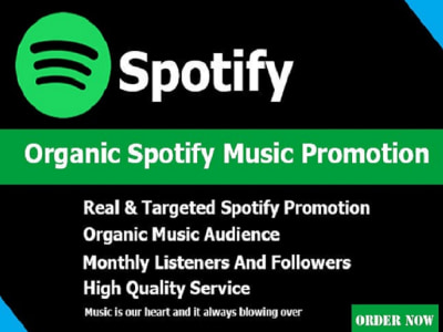 I will create and run advertising to promote your Spotify music