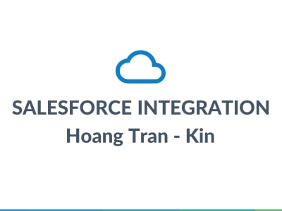 Successful Salesforce Projects of the highest quality