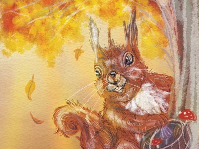 Children's book animals illustrations