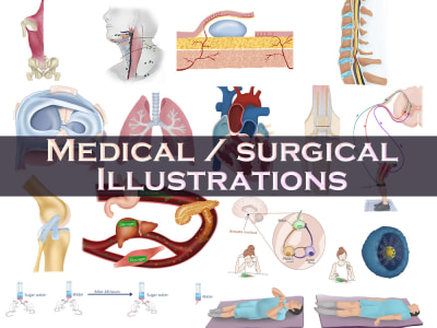 Anatomy medical illustrations | scientific body parts | surgical diagrams