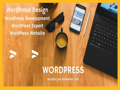 WordPress Developer, WordPress Designer, WordPress Expert and Website