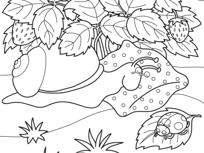 A printable coloring page, worksheet or educational activity sheet