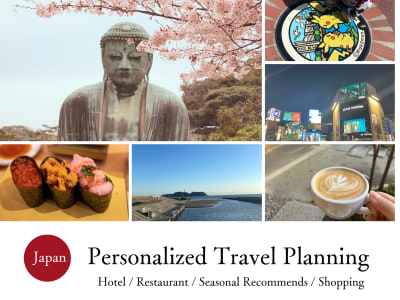 Your customized Travel Itinerary for Japan