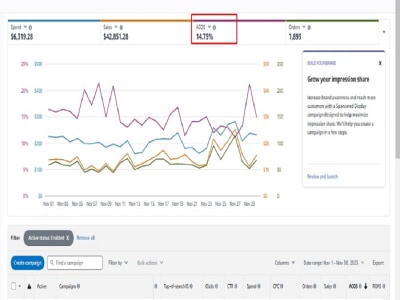 PPC optimization and Audit