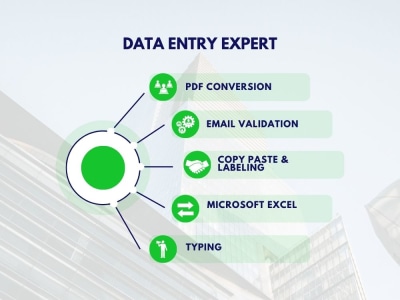 A ready Data Entry Excel project | Upwork