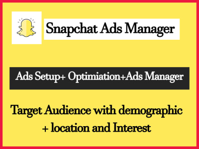 A properly set up and optimised Snapchat ads campaigns | snapchat video ads