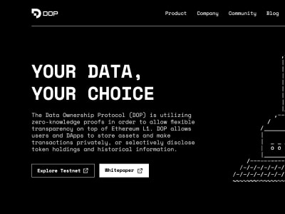 A Privacy Protocol on Layer1 Blockchain