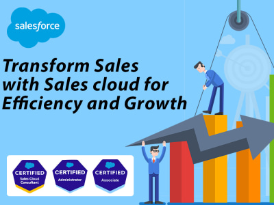 Certified Salesforce Developer and Admin