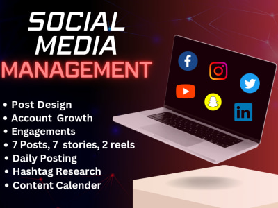 Social media management, Growth and Posting Per week