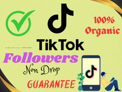 TikTok manager, do TikTok promotion and marketing to grow TikTok followers