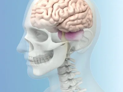 Scientifically accurate medical illustration
