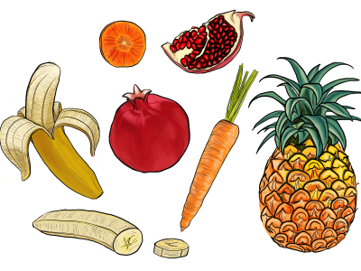 A food illustration in this style