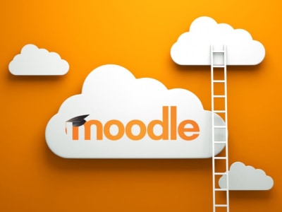 Moodle LMS website development and  customization with your branding