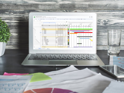 Professional Gantt Chart Creation for Efficient Project Management