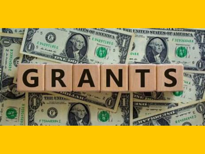 Complete proposal services, ensuring funding and long-term success.