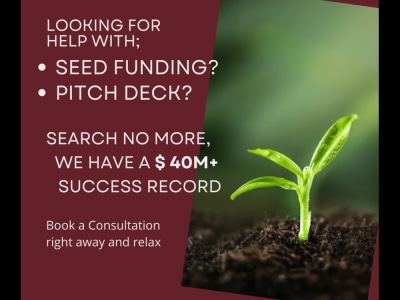 Investor-Grade Business Plans: Securing Seed Financing with Confidence