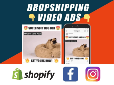 Facebook video ads for shopify dropshipping