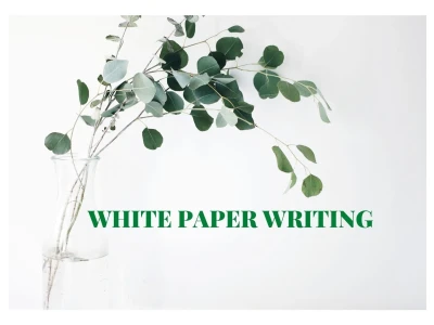 High quality whitepapers on the topic of your choice