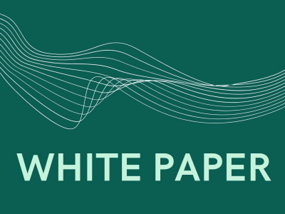 A well-researched and stylish technical white paper.