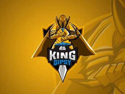 Full package animated twitch stream overlay and logo