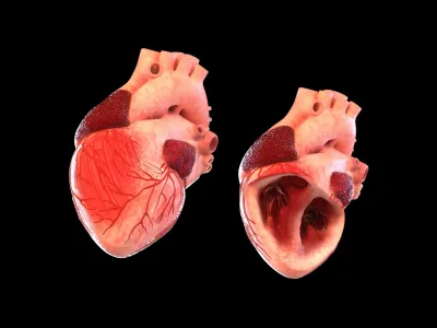 Medical 3d animations and illustrations