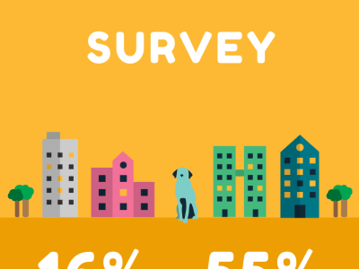 A survey designed from scratch-17 years crafting surveys for multinationals