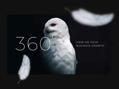 A Business / McKinsey style presentation design