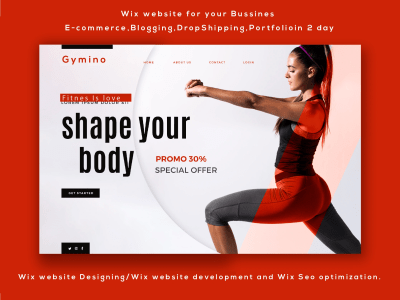 A fantastic Wix website(E-commerce,Blogging,DropShipping,Portfolio)in 2 day