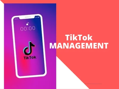 TikTok Marketing Expert to Grow Your TikTok Organically |TikTok Ads Manager