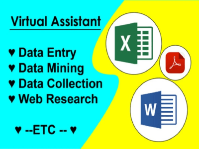 Data Entry, Data Mining, Data Collection & web research