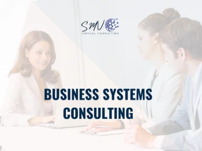 A Consultation to Discuss Business Systems and Processes