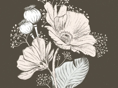 A beautiful illustration of nature objects