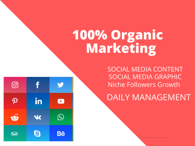 Social media marketing management for 1 month IG|FB|Twitter Marketing |SMM