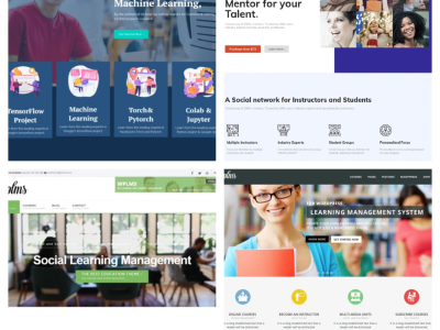 WPLMS website to sell Courses Online – Built by a Former WPLMS Employee