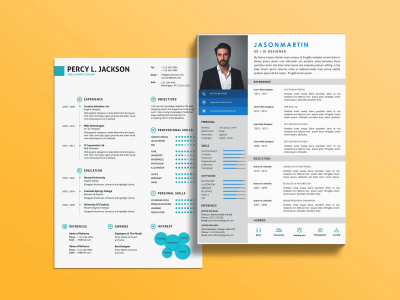 A professional resume with exceptional design