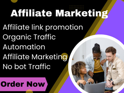 Organic affiliate link promotion, marketing, affiliate manager, Traffic