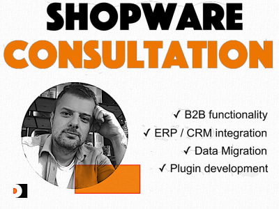 Shopware 6 Development Consultation | Certified Shopware 6 expert