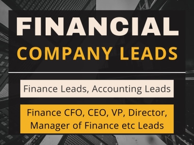 Financial Company Leads, Lead Generation, CFO, CPA Leads, Accouting Leads