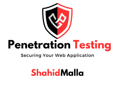 Website penetration testing with report