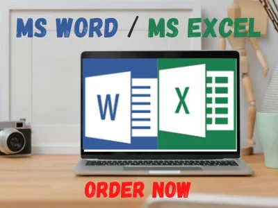 MS Word, MS Excel document formatted & data compiling for your business ...