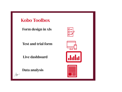 Advance survey form design in Kobocollect