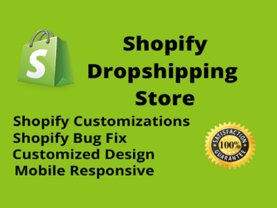A professional shopify website and dropshipping shopify store