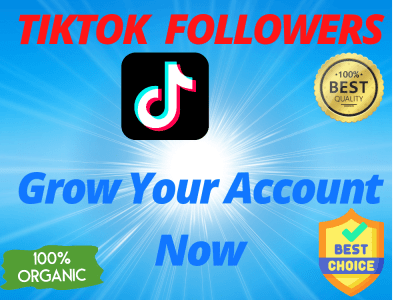 1000+ Tiktok Followers organically | Grow Your Tiktok account now